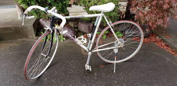 日本卢德摩托车代购与二手市场指南 价格、渠道与购买注意事项